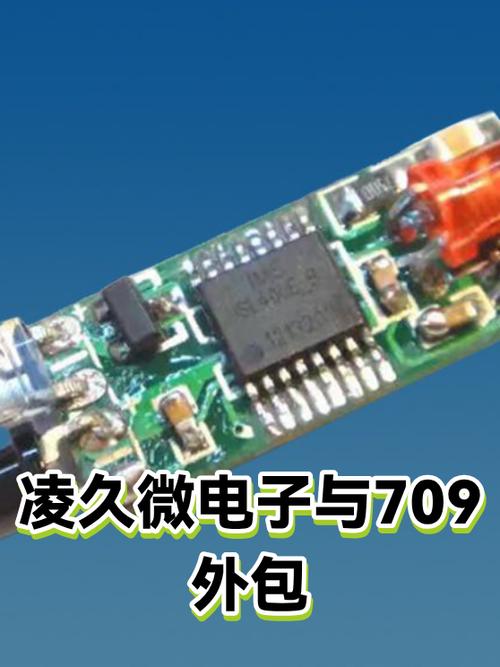 凌久微电子与709外包