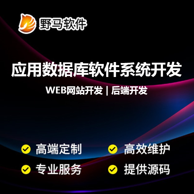 应用数据库软件